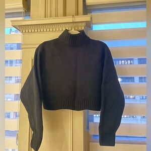 Aritzia Wilfred Crop-Turtleneck- 100% Wool